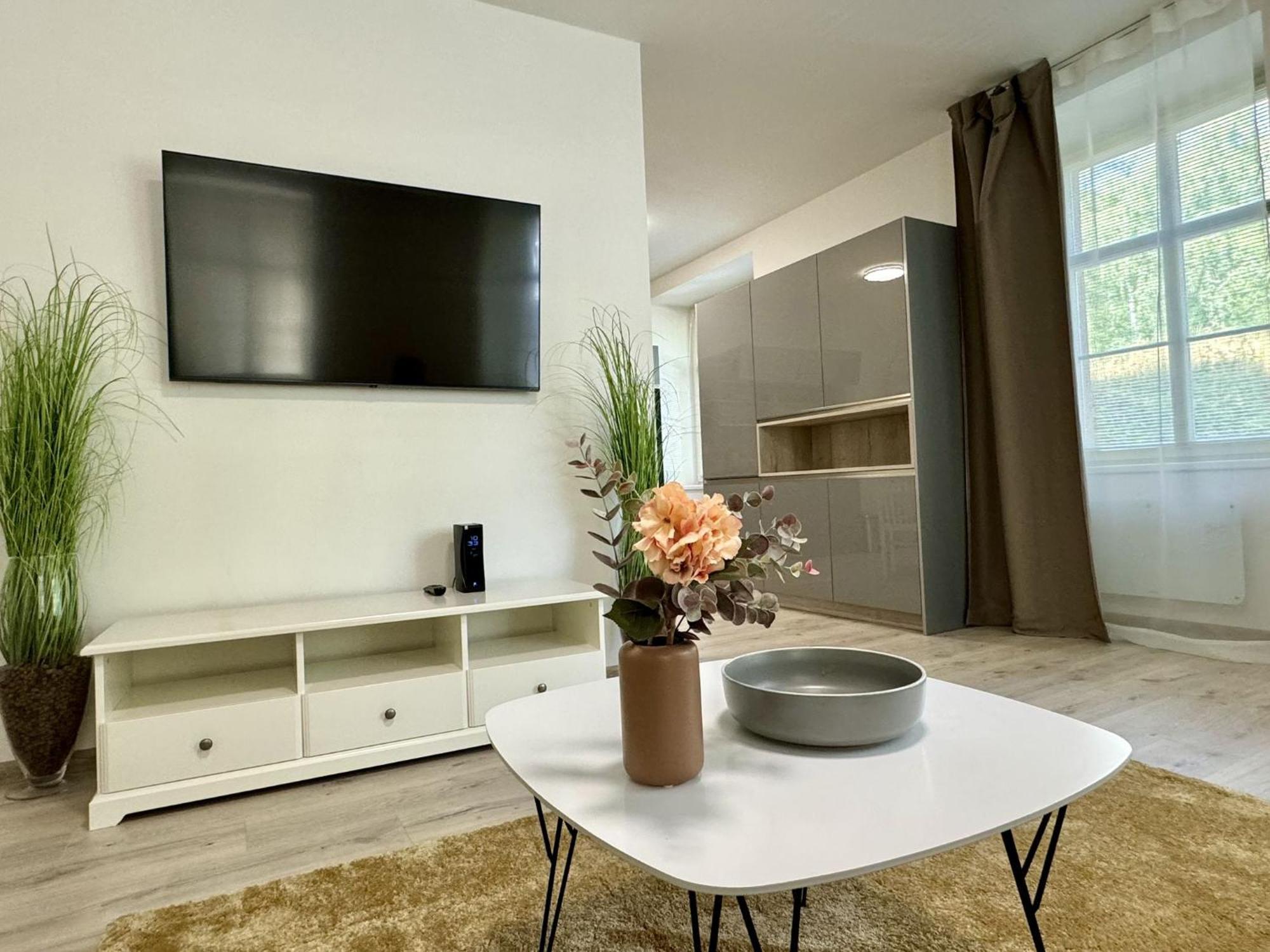 Rivercity Apartments Karlovy Vary Kültér fotó